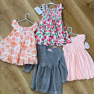 Floral and Gray Toddler Dress Bundle 2T